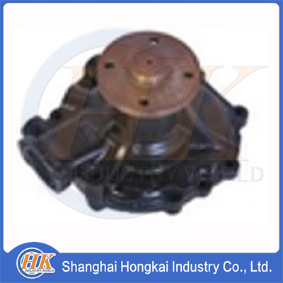 161003475 WATER PUMP